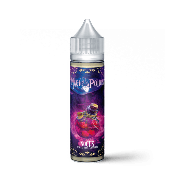 Fiche_Noctis_solo (1)