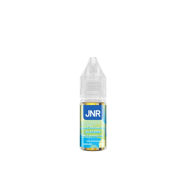 e-liquide-puff-JNR-Wild-Berries-Ice