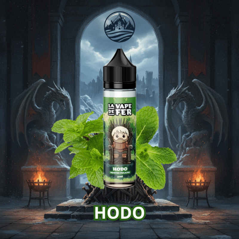 hodo-la-vape-de-fer