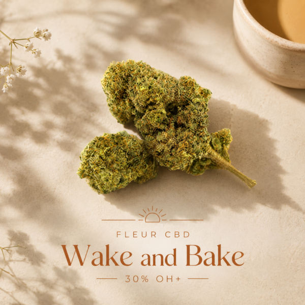 Fleur Wake and Bake 30% 10-OH-HHC 1 Fleur Wake and Bake 30 10oh
