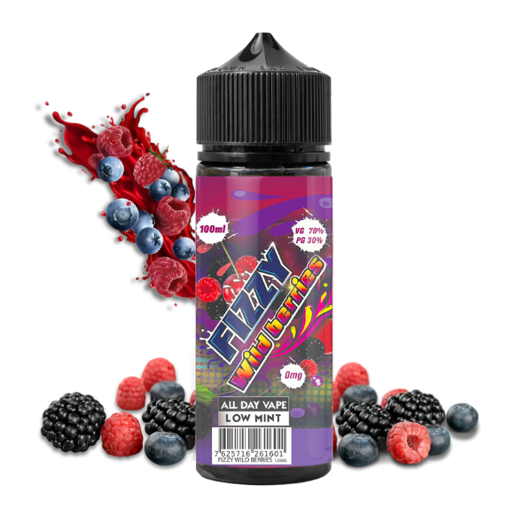 fizzy-wild-berries-100ml
